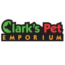 RRSC Sponsor 2019 Logo Clarks